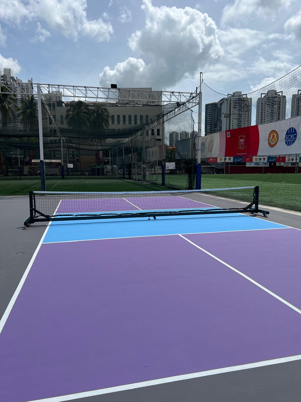 Professional Grade Courts